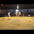 アマチュア相撲観戦記