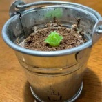 藤田コーチの くう・ねる・テニス NEW