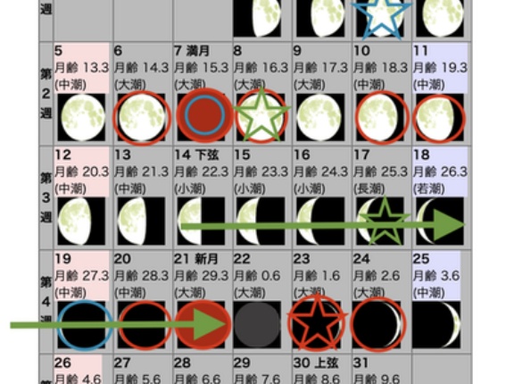 2025年10月の自然観察日