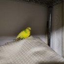 柔らかいところへ