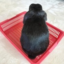 ひとりは寂しい。