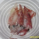 2026/03/01~10　釣果