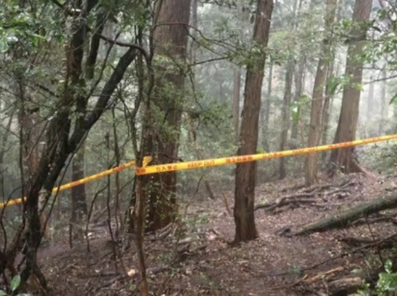 【埼玉】９１歳女性を殺害したベトナム人（住所不定無職）　在留資格なしの元技能実習生だった