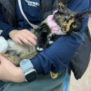 ハーベストの丘譲渡会&週末ご飯