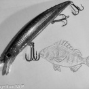 episode2767…【20251213 SW㉜】魚っ気がイマイチ・・・。