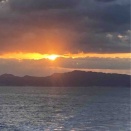 謹賀新年～令和８年～