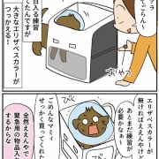 飼い犬ティアラが病気になった話⑥自分で連れて行きたい！