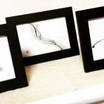 フェミニン＊書道