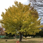 三重県よろずや