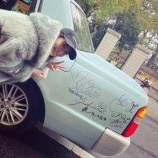 『[＝LOVE] バイオリニストの木嶋真優さん、イコラブタクシーの配車に喜ぶ…』の画像
