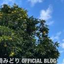 曲