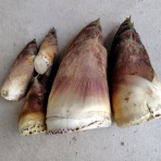 京都❤山里に暮らす