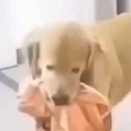 カレが旅行の準備をしていた。これも持ってって♪ → 可愛い彼女はこうします…