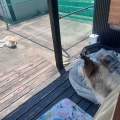 日向ぼっこ♪