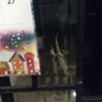 日本脱出二人旅