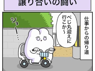 譲り合いの闘い