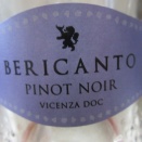 ベリカント　ピノノワール2021　　抑揚に乏しい