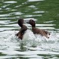 2026年10月27日の野鳥公園