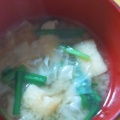 蝉の鳴き声、聞こえてきました