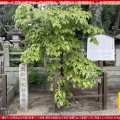 祇園祭2026(2)~くじ取り式/花前カレン