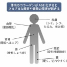 意外な痛みの原因 【 糖化 】