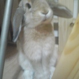 『あれから2年』の画像