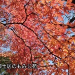 ソワレが要らないフランス暮らし