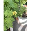 ちょっと