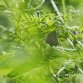 山麓の公園