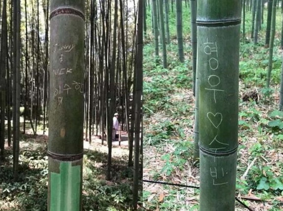 「ヒョンウ♡スビン」って誰？日本の観光名所、竹に名前を刻んだ韓国人＝韓国の反応