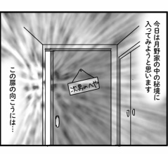 次男のモケケコレクション