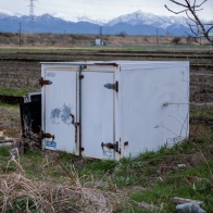 EF50mmF2.5コンパクトマクロ