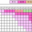 弘前公園さくら情報2026（第20回）