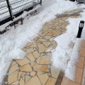 【シニアの暮らし】大雪まとめ。。
