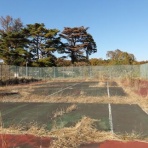 新潟発・B級温泉紀行