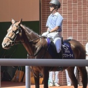 初心者マークの誘導馬バビットに会ってきました