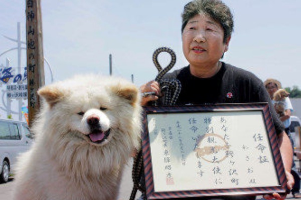 ブサかわ犬 わさおの飼い主菊谷節子さん死去 爆速2ch