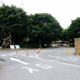 『解剖実習見学を行いました。』の画像