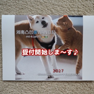 湘南凸凹柴WAN日記