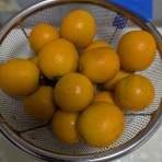 裏ブログ－URATAIDOU部