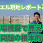 キリスト教（聖書）モリーのディボーション