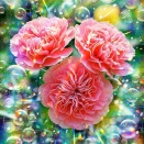 霜晨の光に舞う祝福 Eternal Warmth