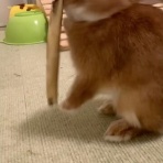 うのくらし