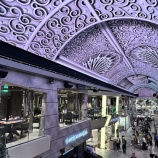 ��MSC�٥�å��ޡ���åȥ���֡����٤β���