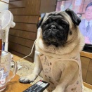 金曜日の、さんちゃん。