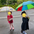 9連休はハッスルタイム