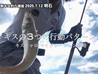 7.12明石のキス釣り 回遊ルートを読んで良型キャッチ！マイグレーション戦略