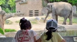 絶頂期に年間300万人だった来場者数が半減…旭山動物園の現状