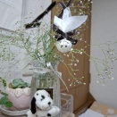 まさかの定休日。そして本日の献立