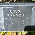 現在の状況260805